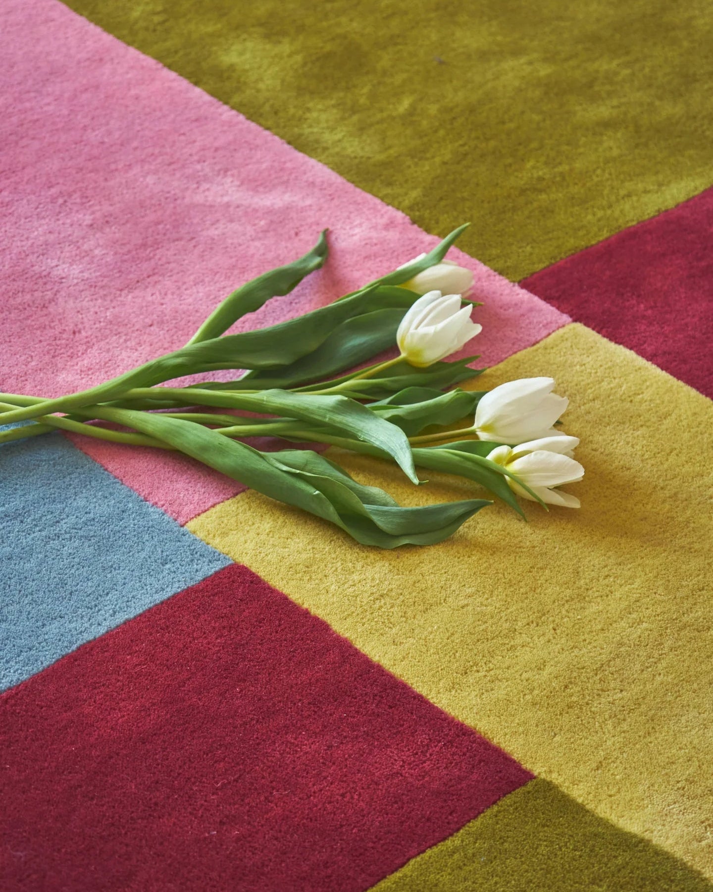 Mix and Match rug by Color Therapis