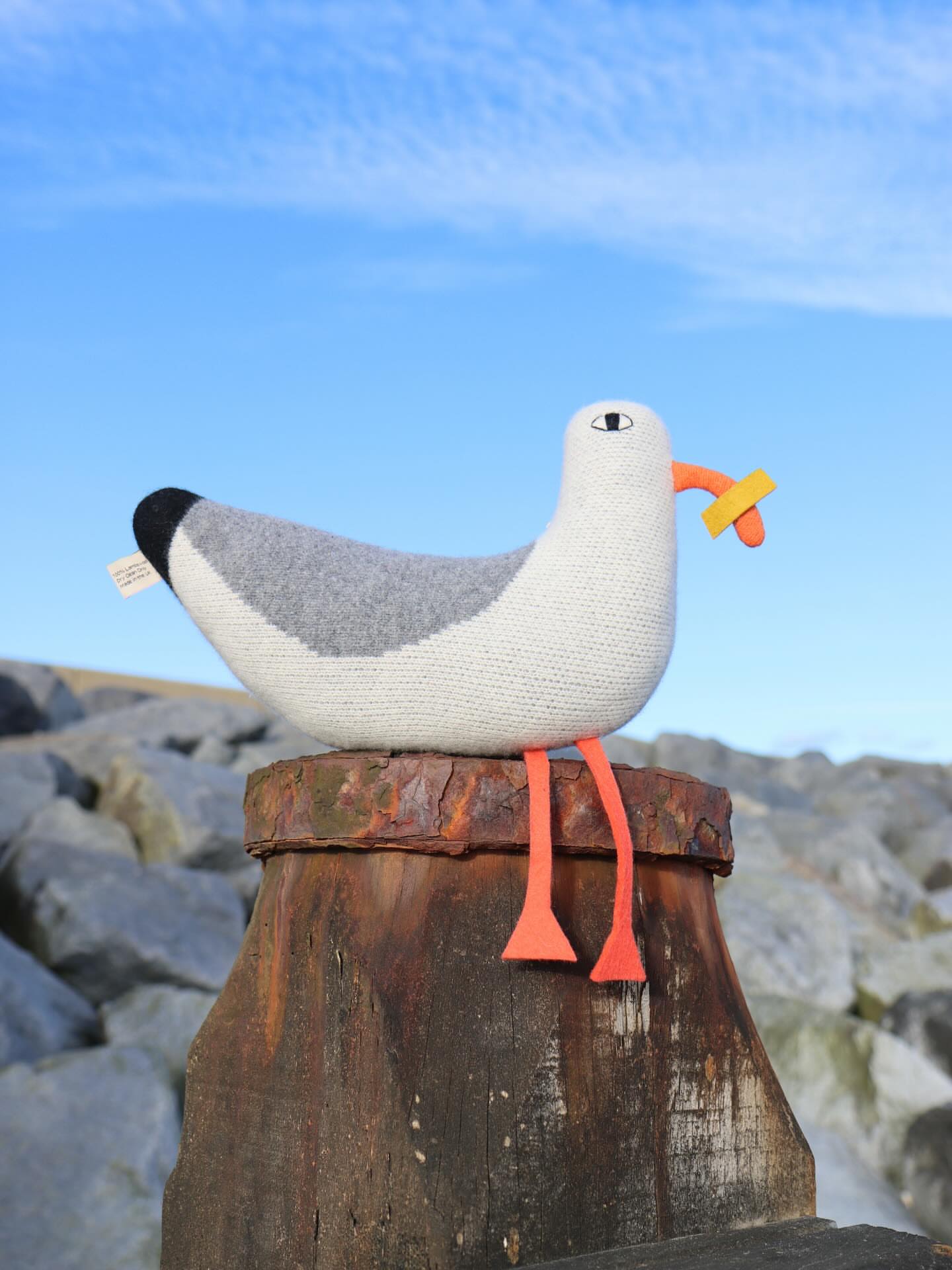 Soft Birds