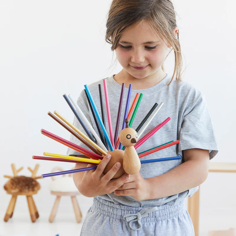 Peacock Pencil Set by Takeshi Sawada - EO