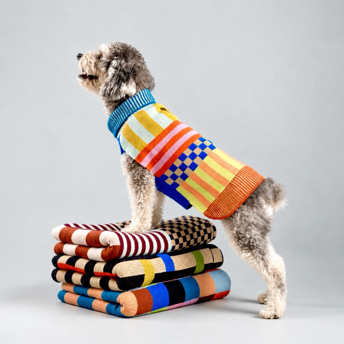 Dog Sweaters by Verloop
