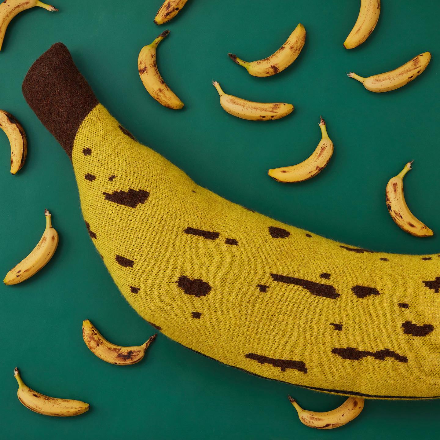 Creatures, big and small.