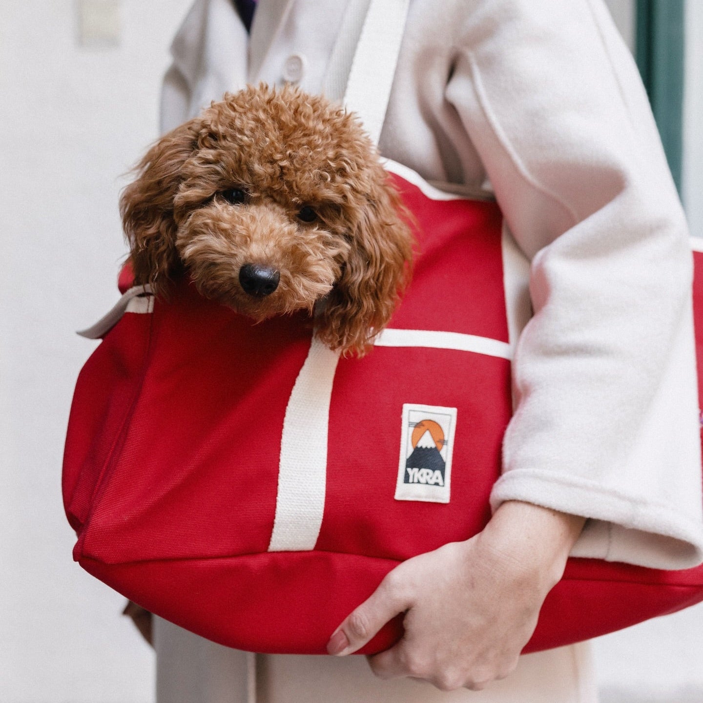 Beach Bag