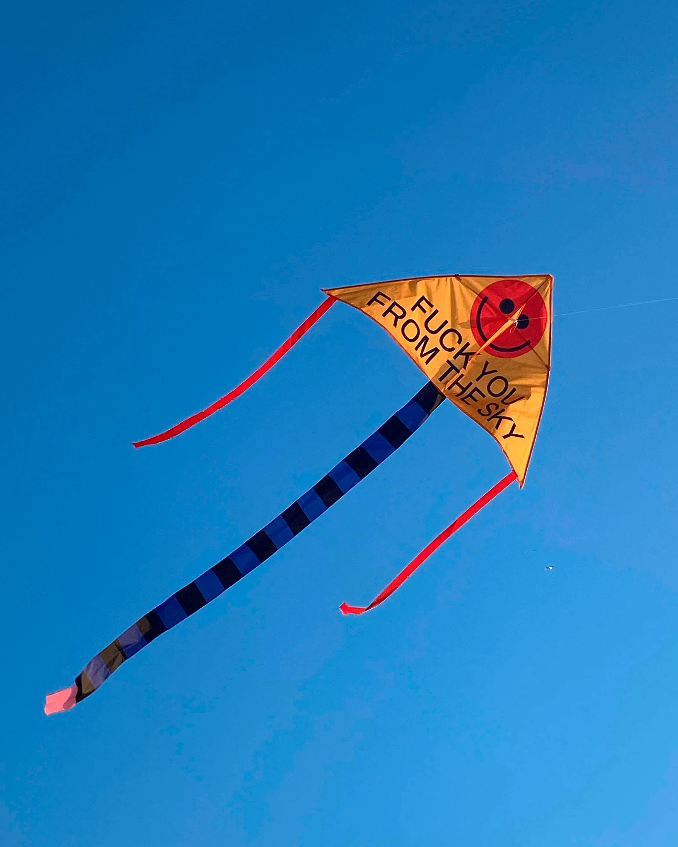 A Slightly Rude Kite by Marco Oggian - Brutto