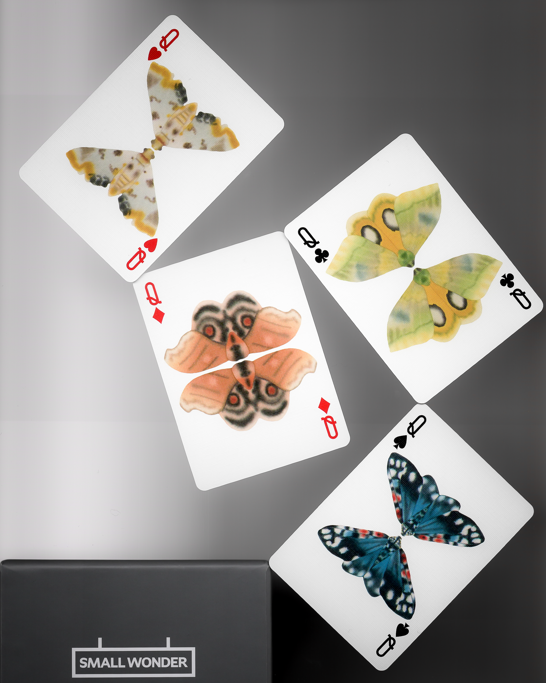 Moths Stripe Edition