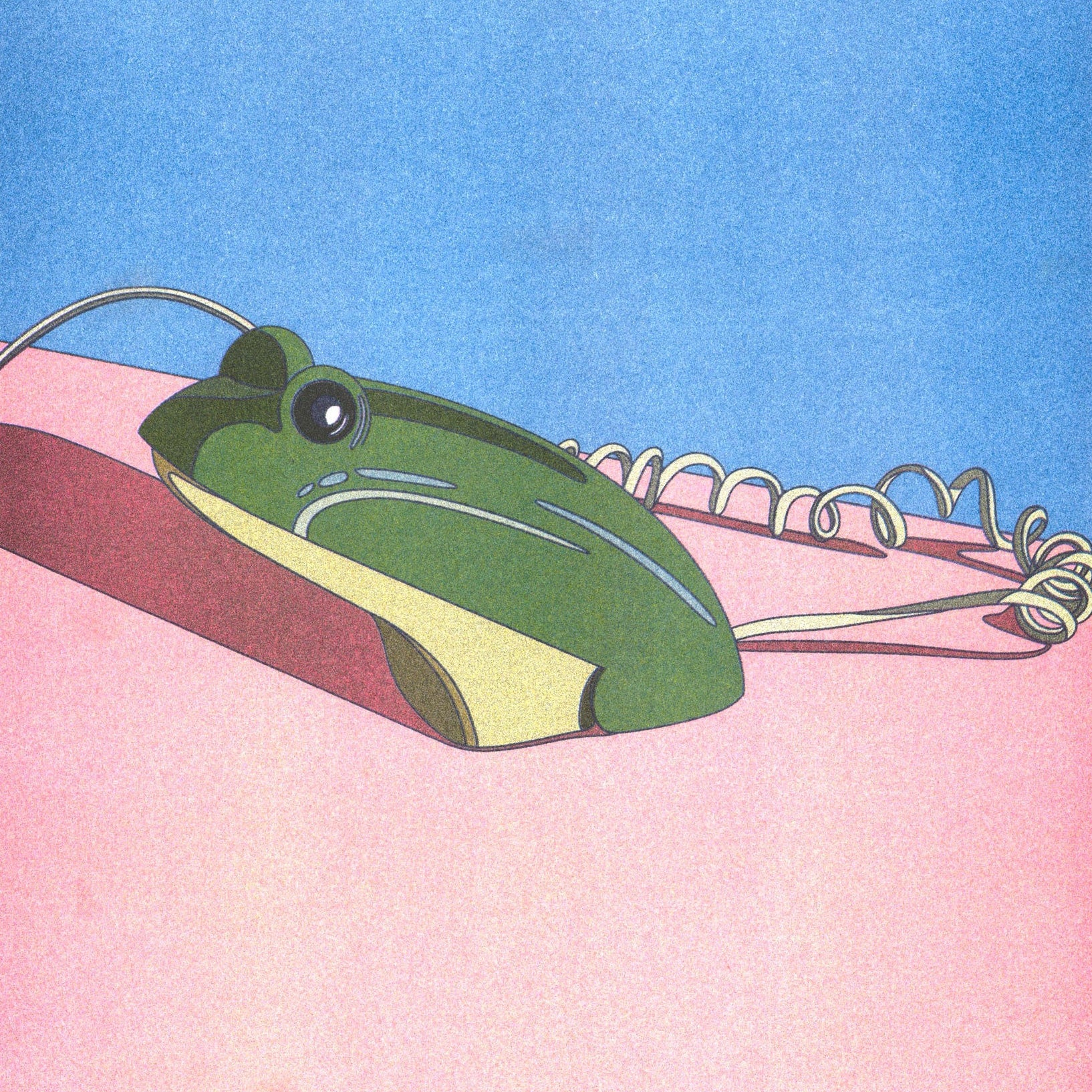 Crusader Frog Phone print