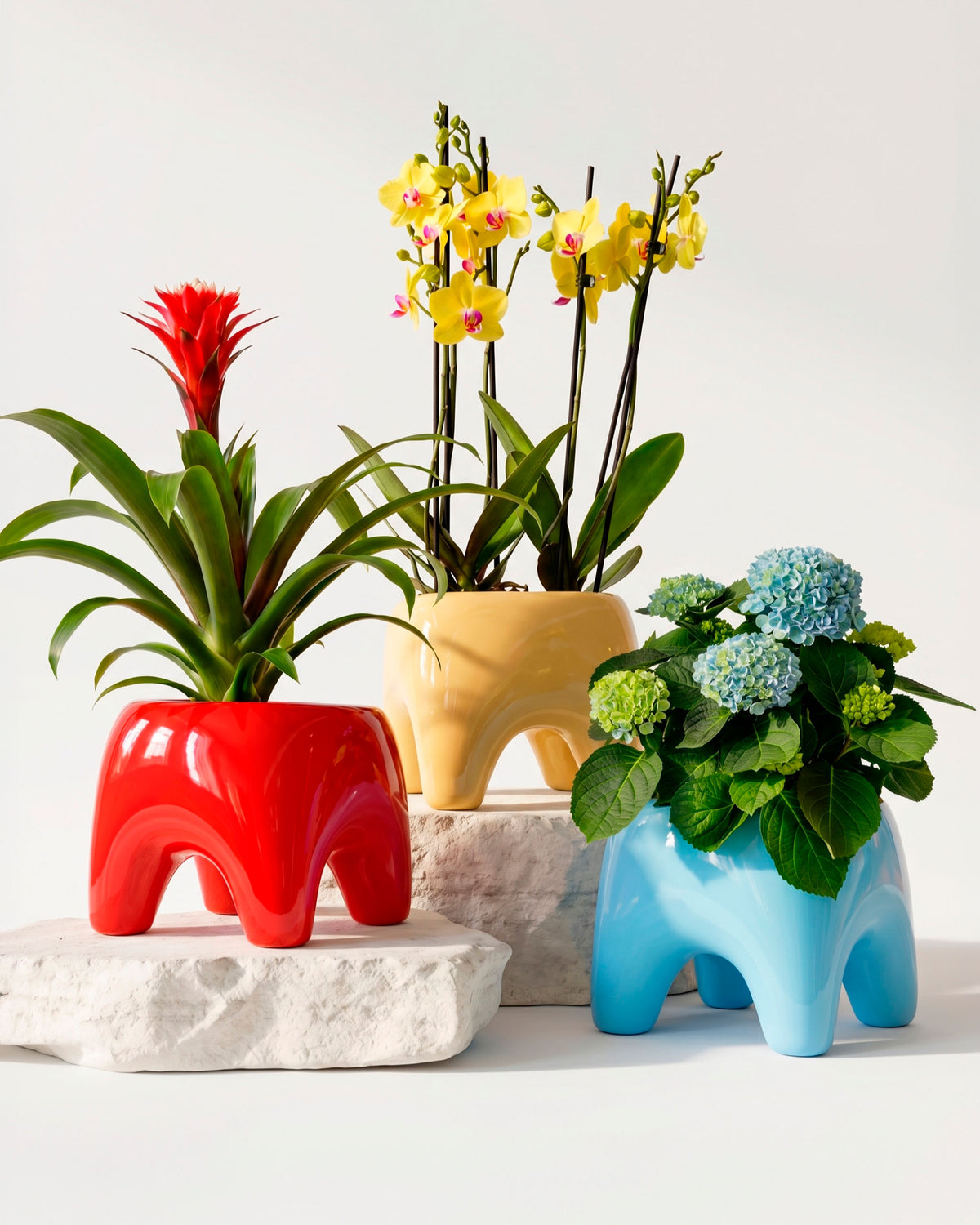 Buddy Planter by Houbi home
