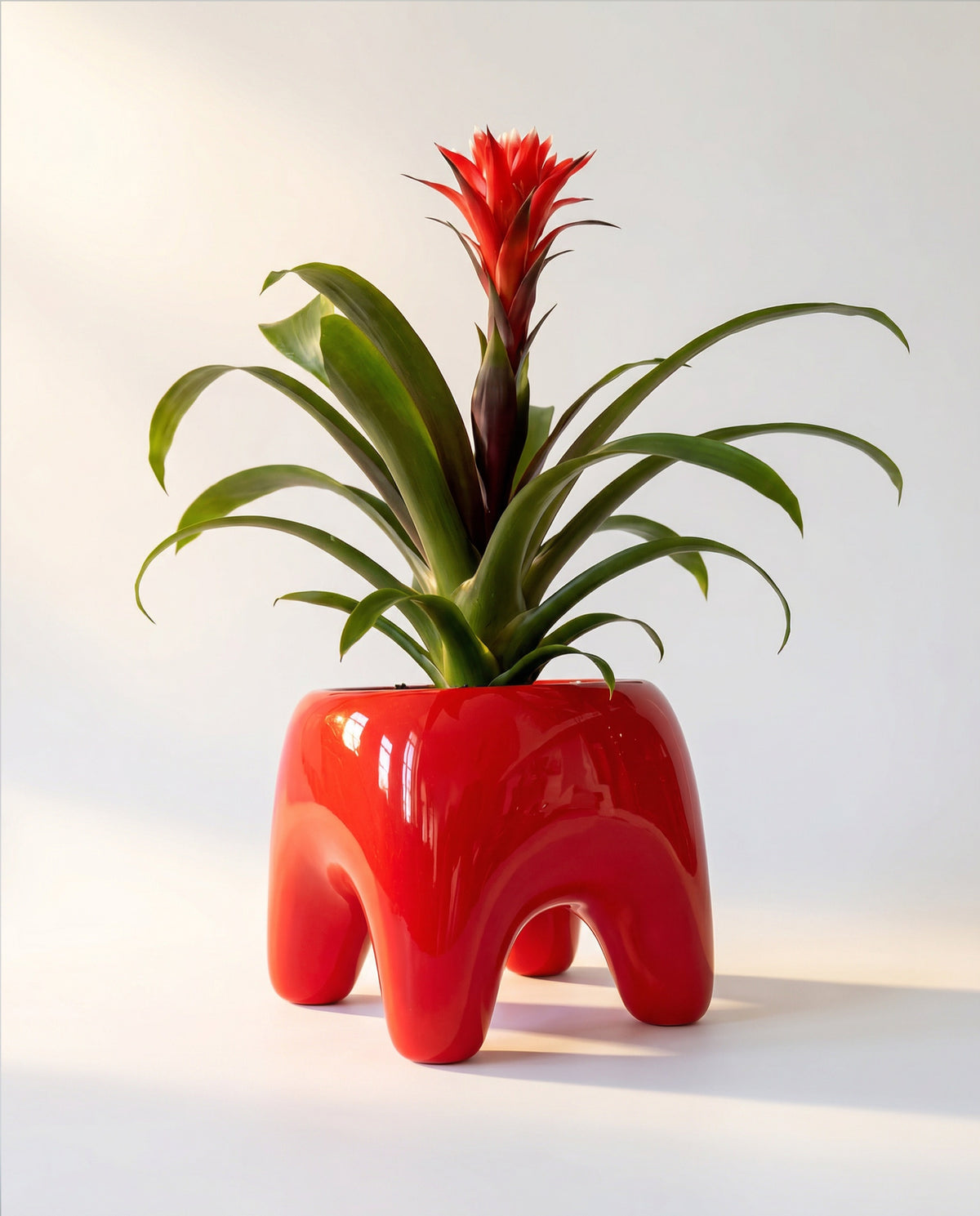 Buddy Planter by Houbi home