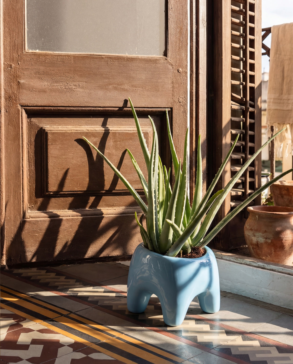 Buddy Planter by Houbi home