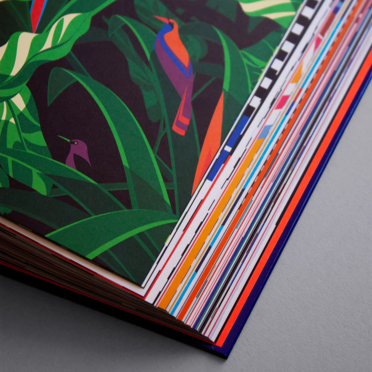 Malika Favre Monograph