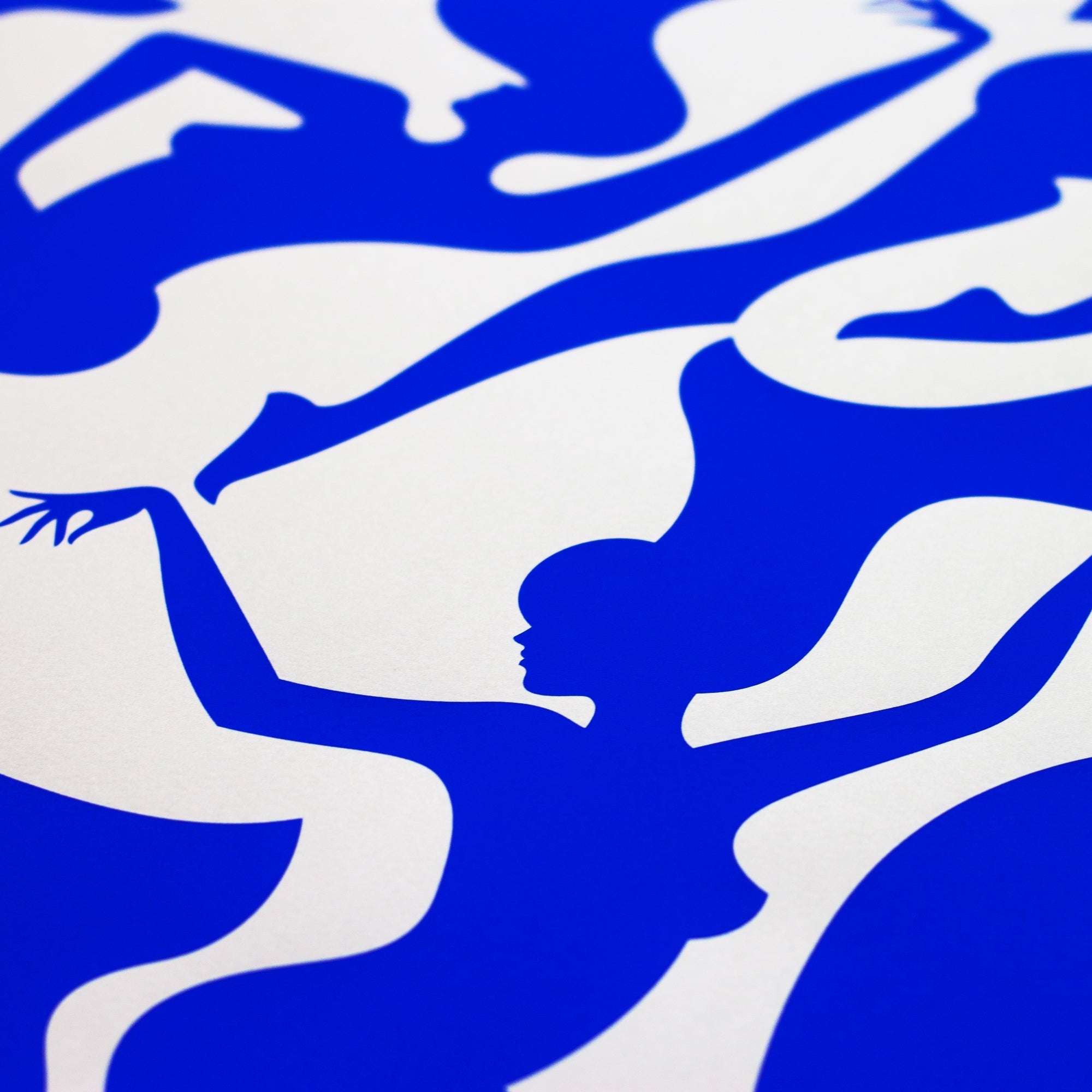 Montreux Jazz Festival Edition by Malika Favre