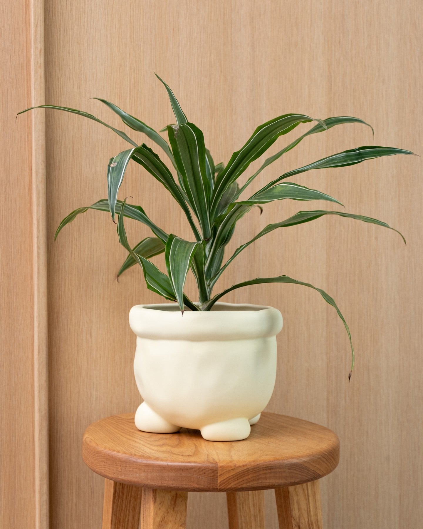 The Play Collection by Home Studyo
