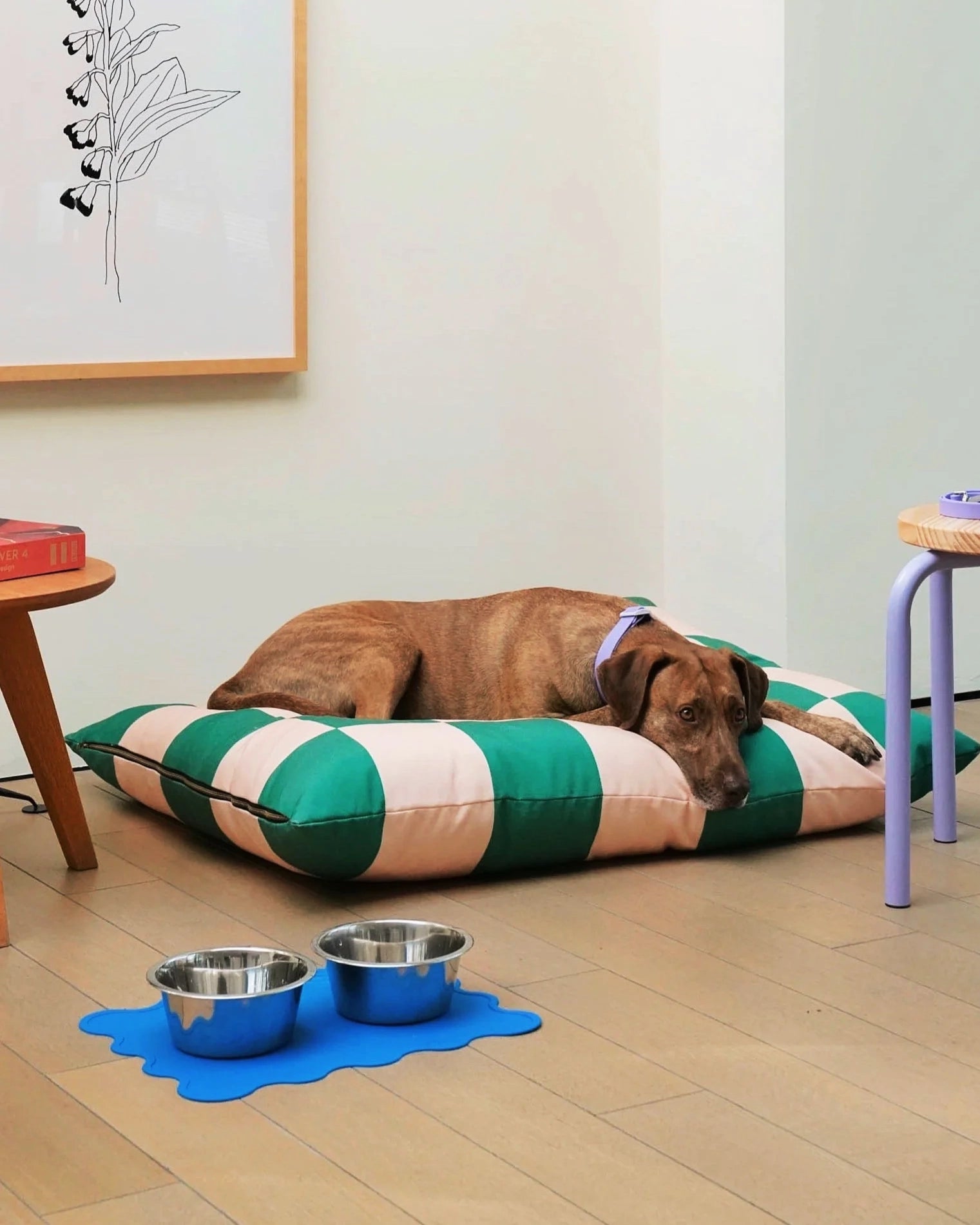 The Fritz bed