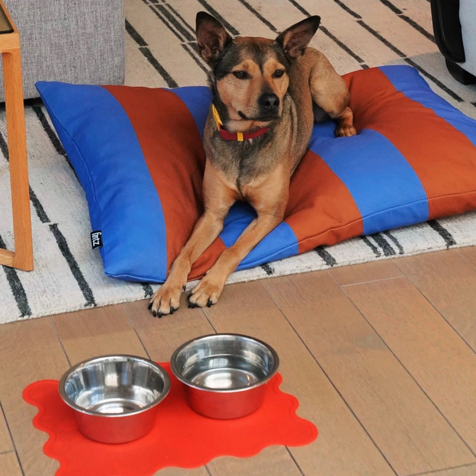 The Fritz mat