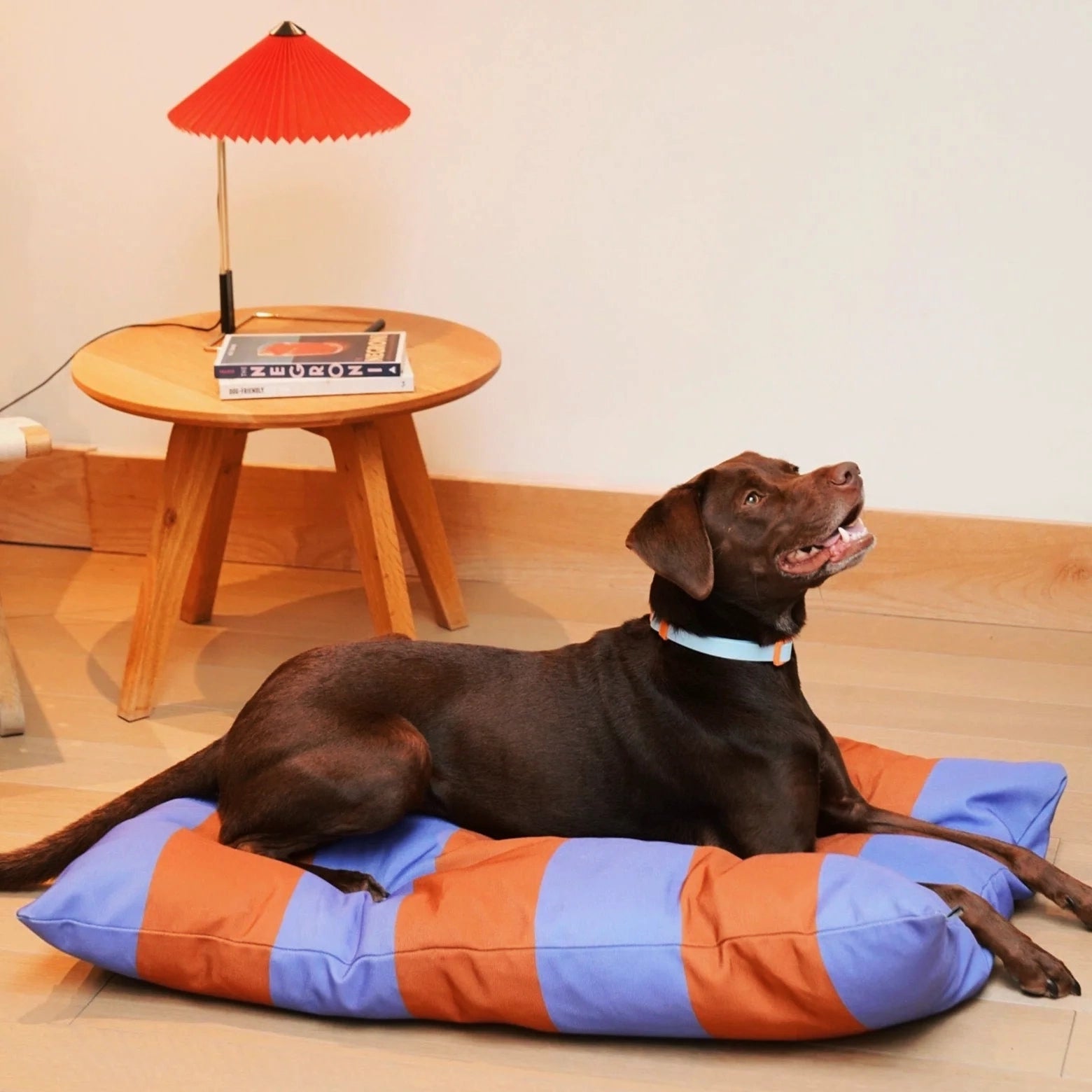 The Fritz bed