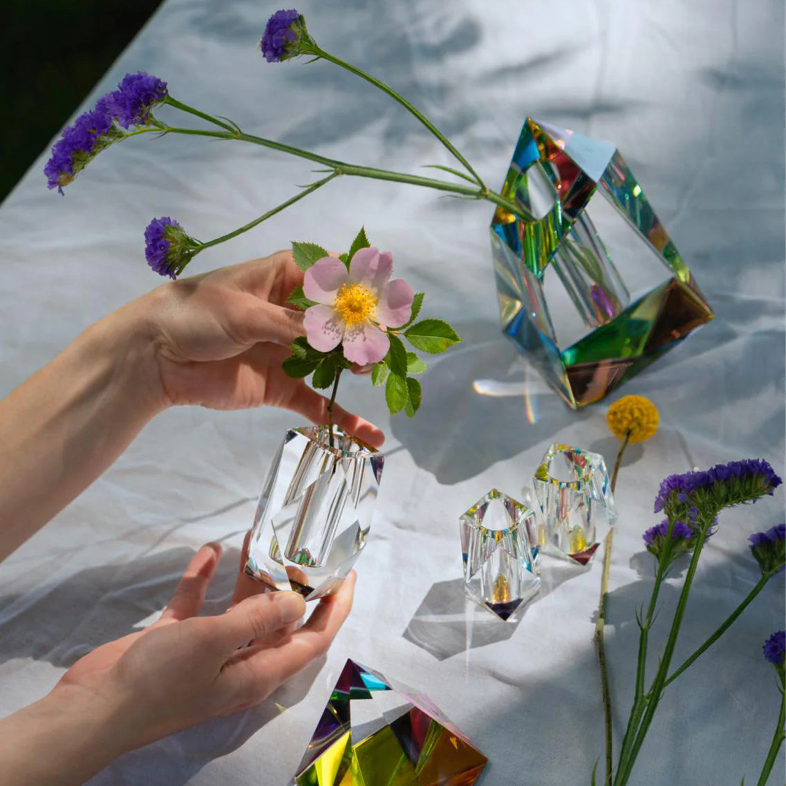 The Regenbogen family