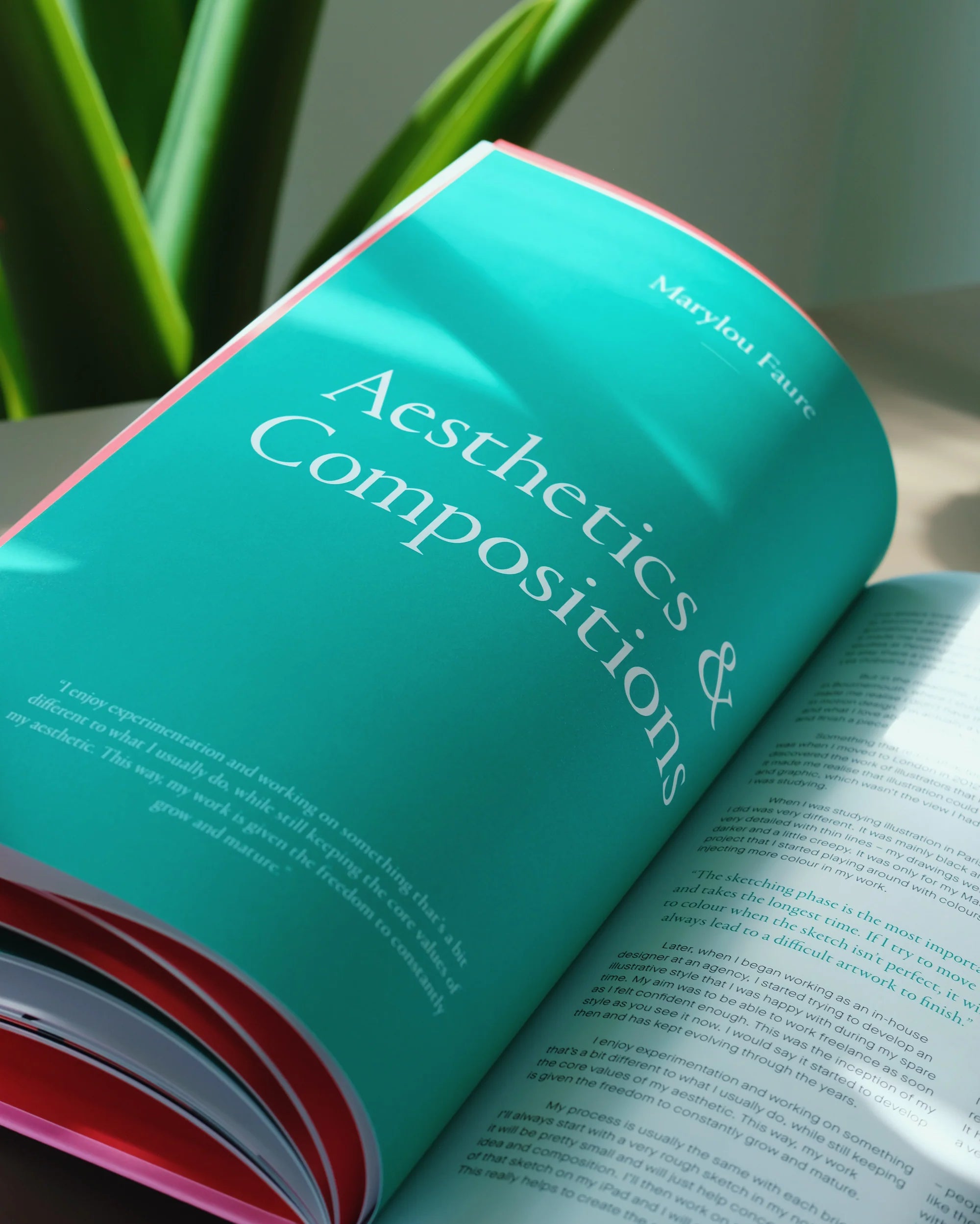 Marylou Faure Monograph