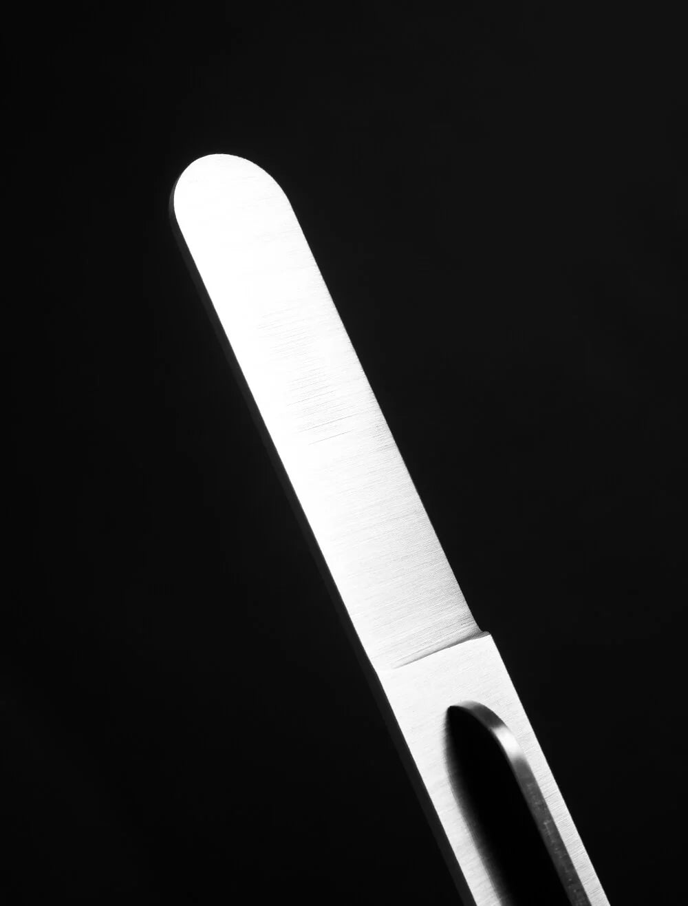 Butter Knife by Florentine Kitchen Knives