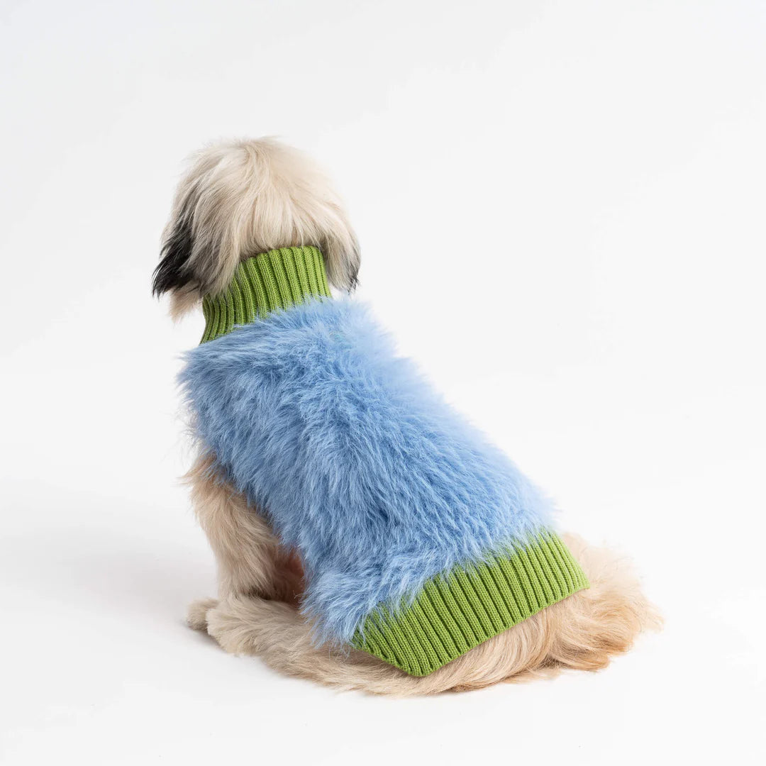 little sweaters