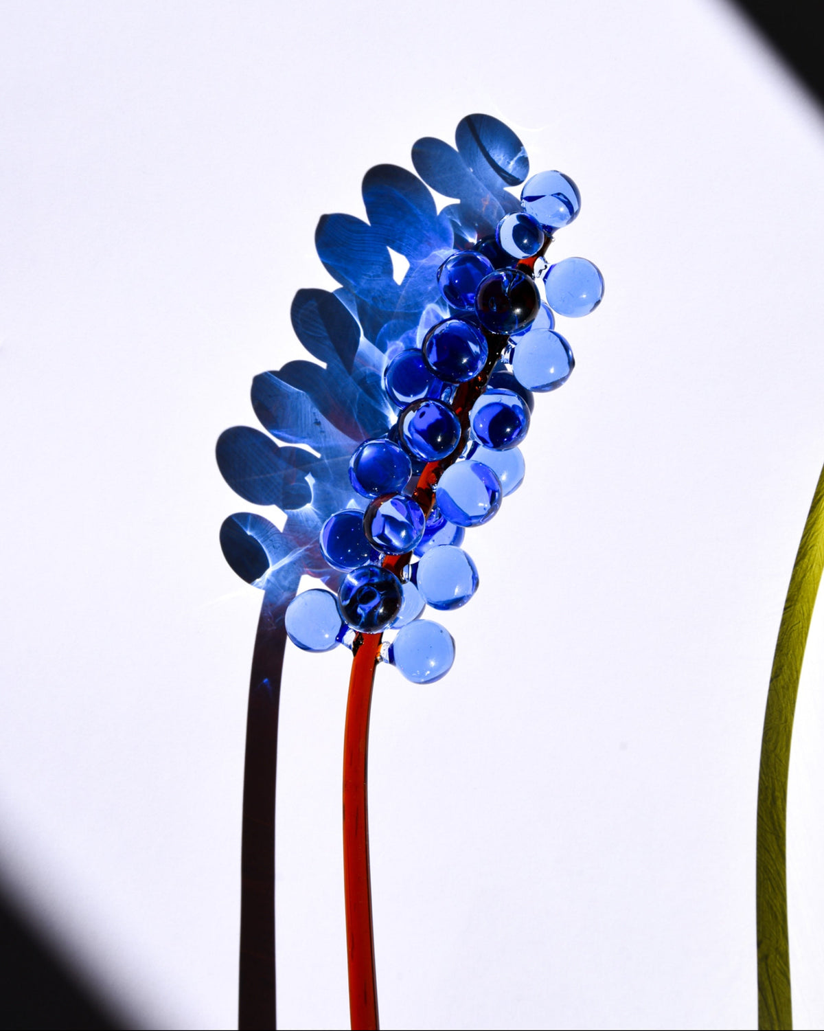 Glass Flowers by Manu Matters