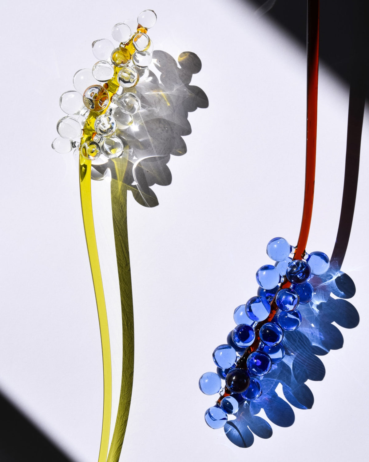 Glass Flowers by Manu Matters