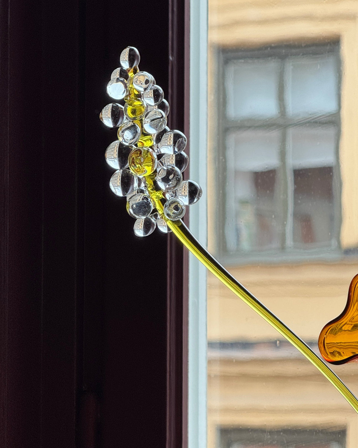Glass Flowers by Manu Matters