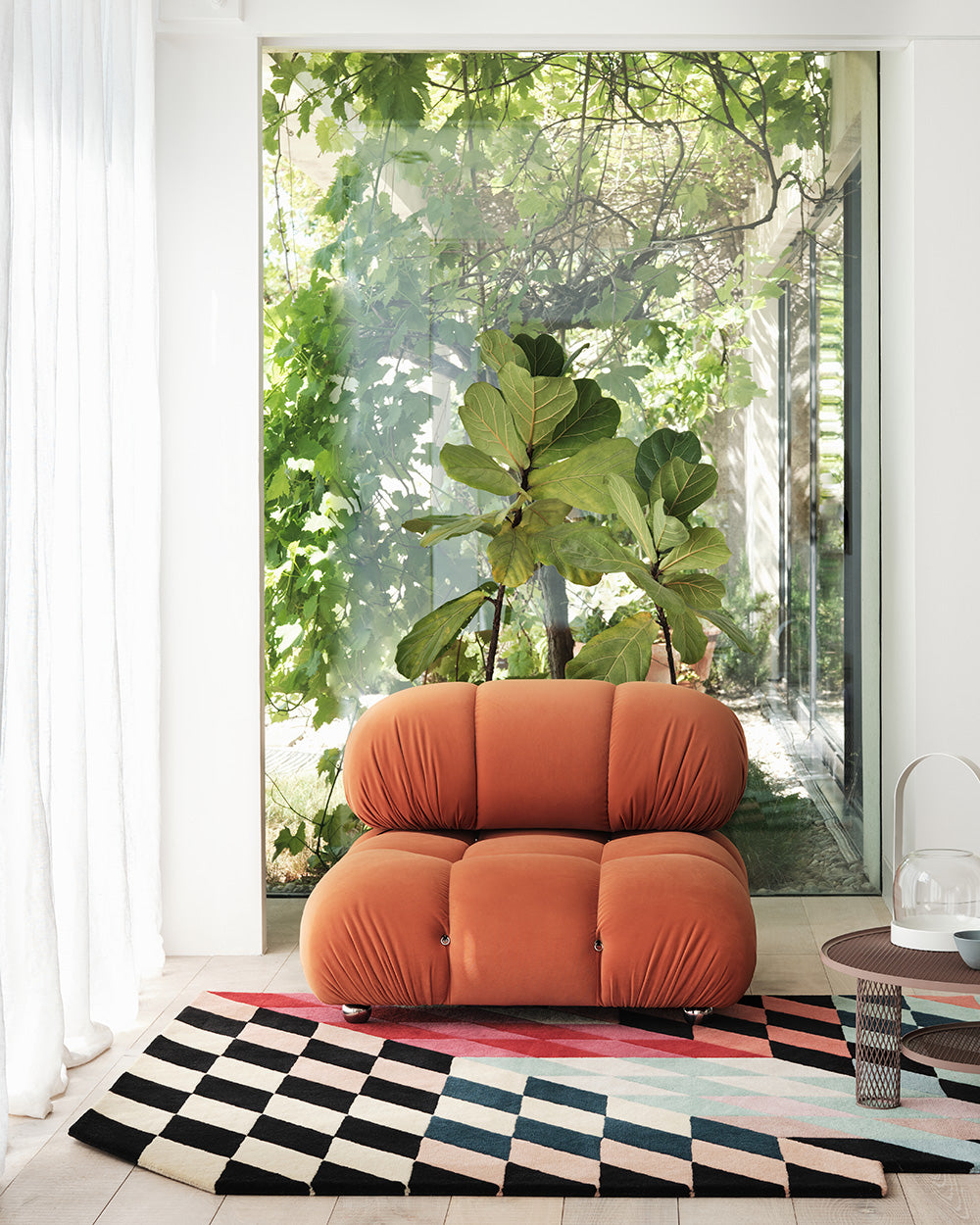 Harlequin rugs