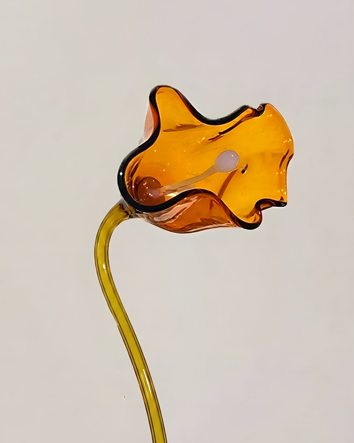 Glass Flowers by Manu Matters