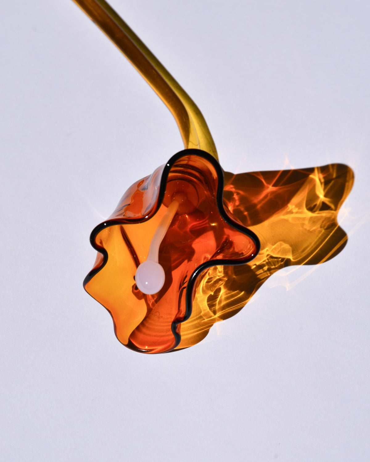 Glass Flowers by Manu Matters