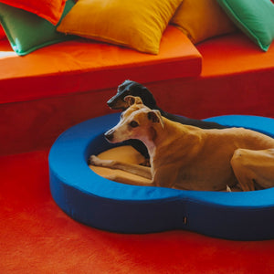 HotDog