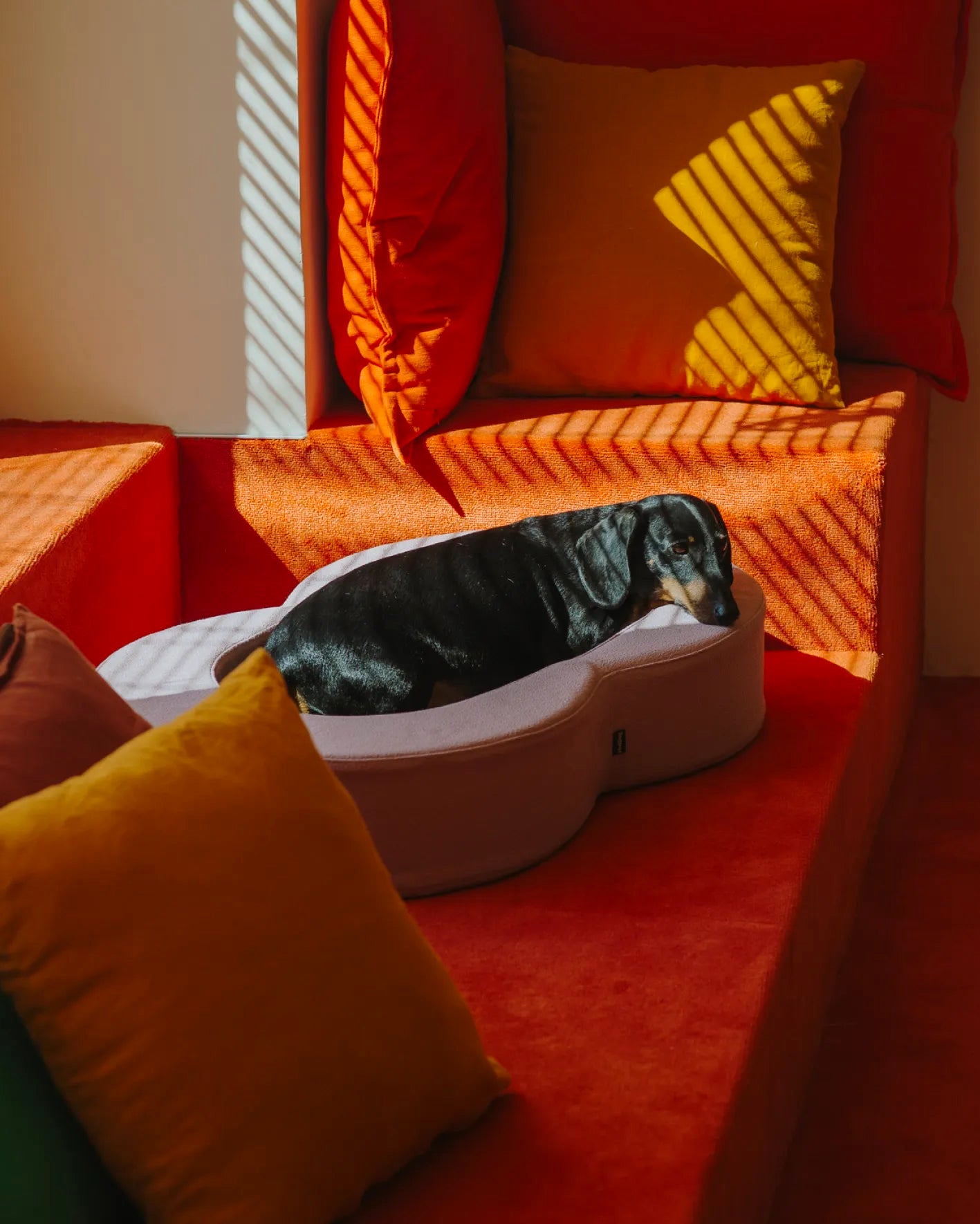 HotDog bed