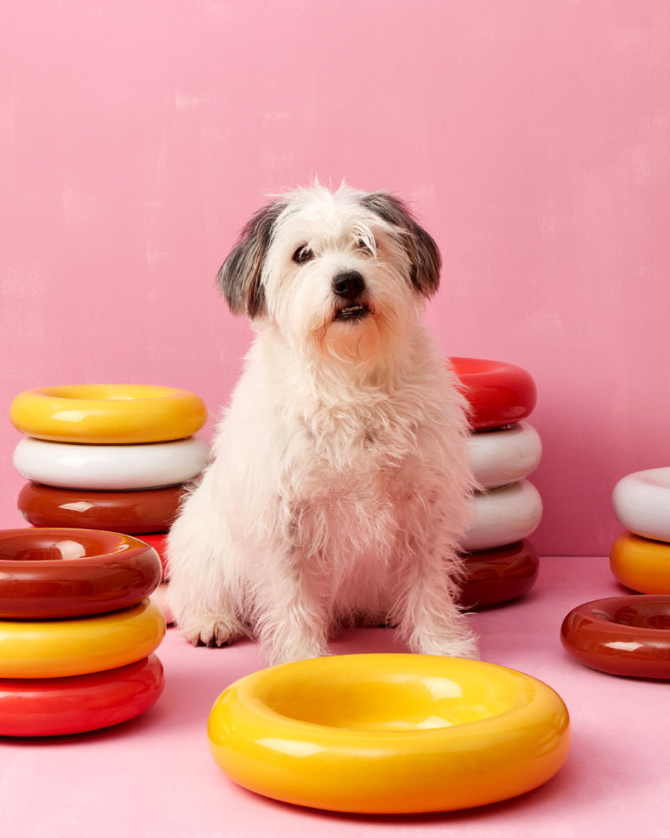 HotDog bowls
