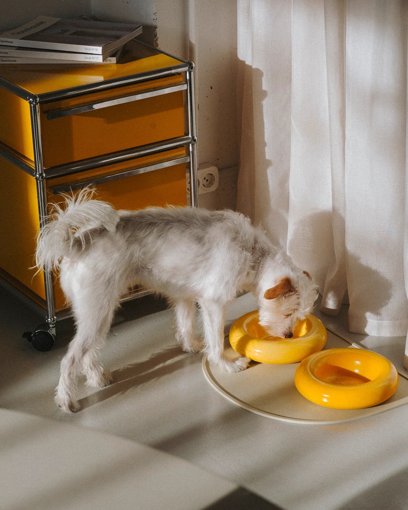 HotDog bowls