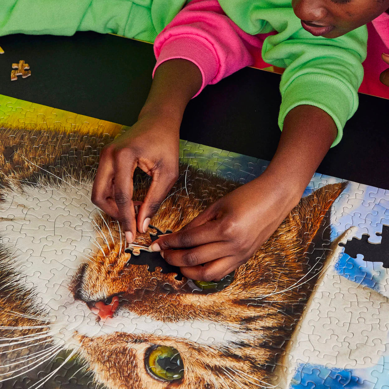 Hawdy Pawtner Puzzle