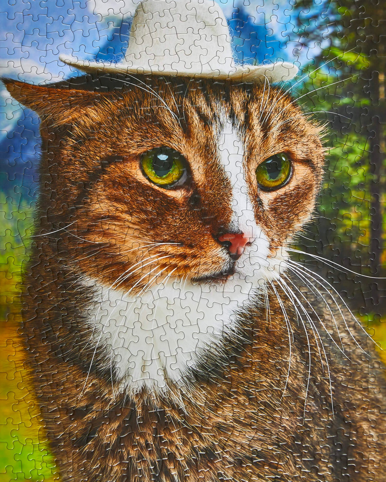 Hawdy Pawtner Puzzle