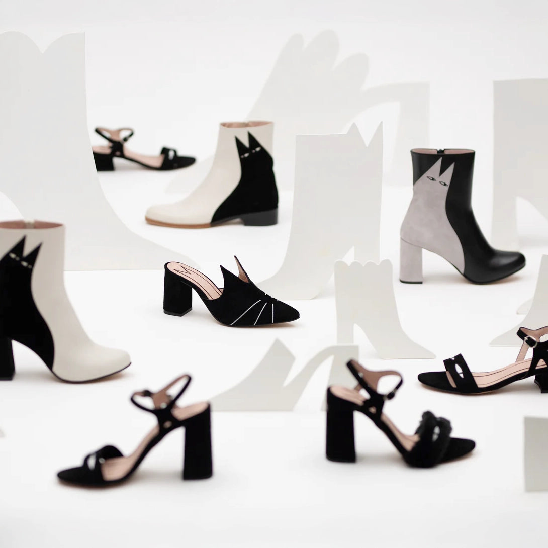 The Cat Shoes