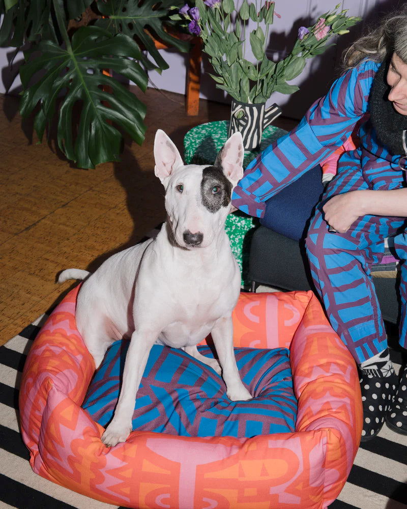 Irregular Dog Bed