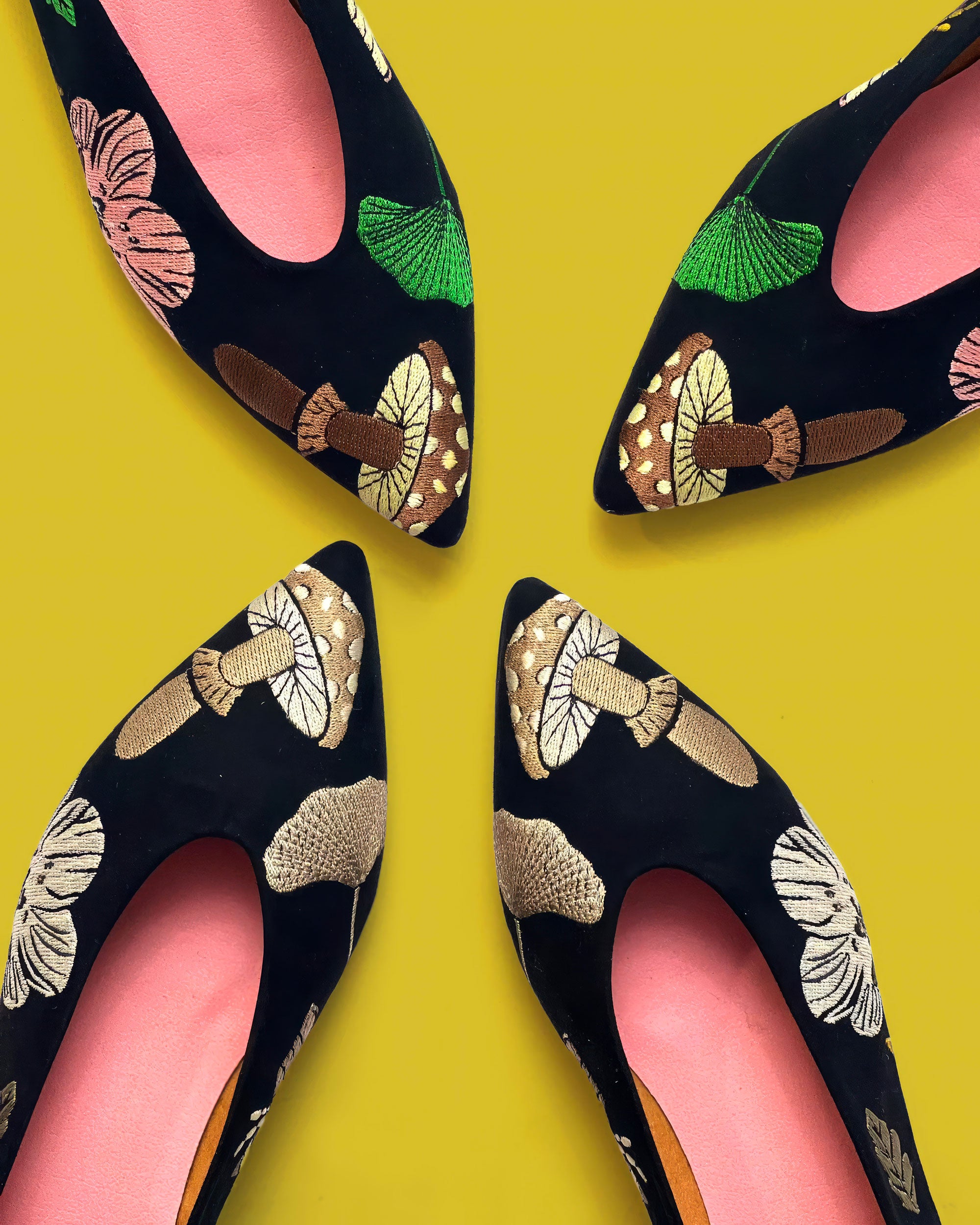 Bolboreta ballerinas