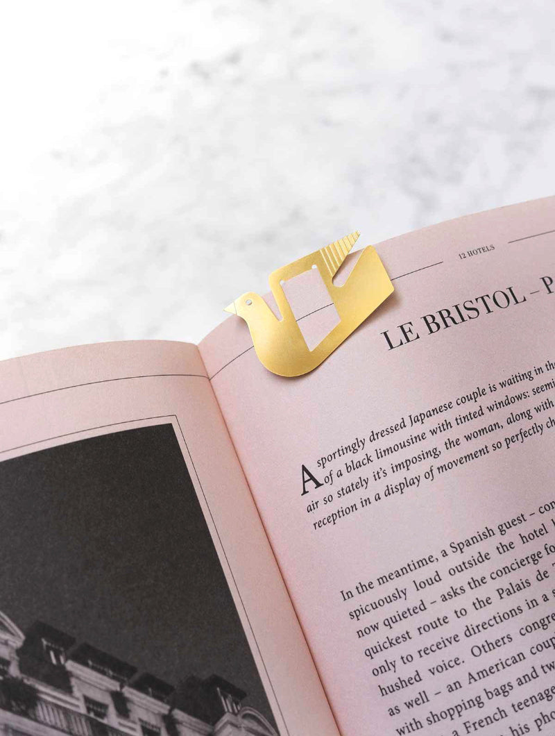 Metal Clips