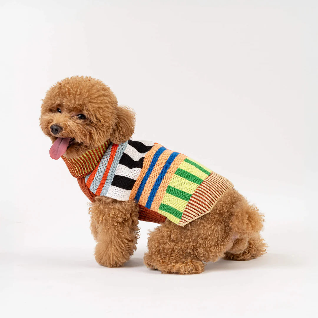 little sweaters