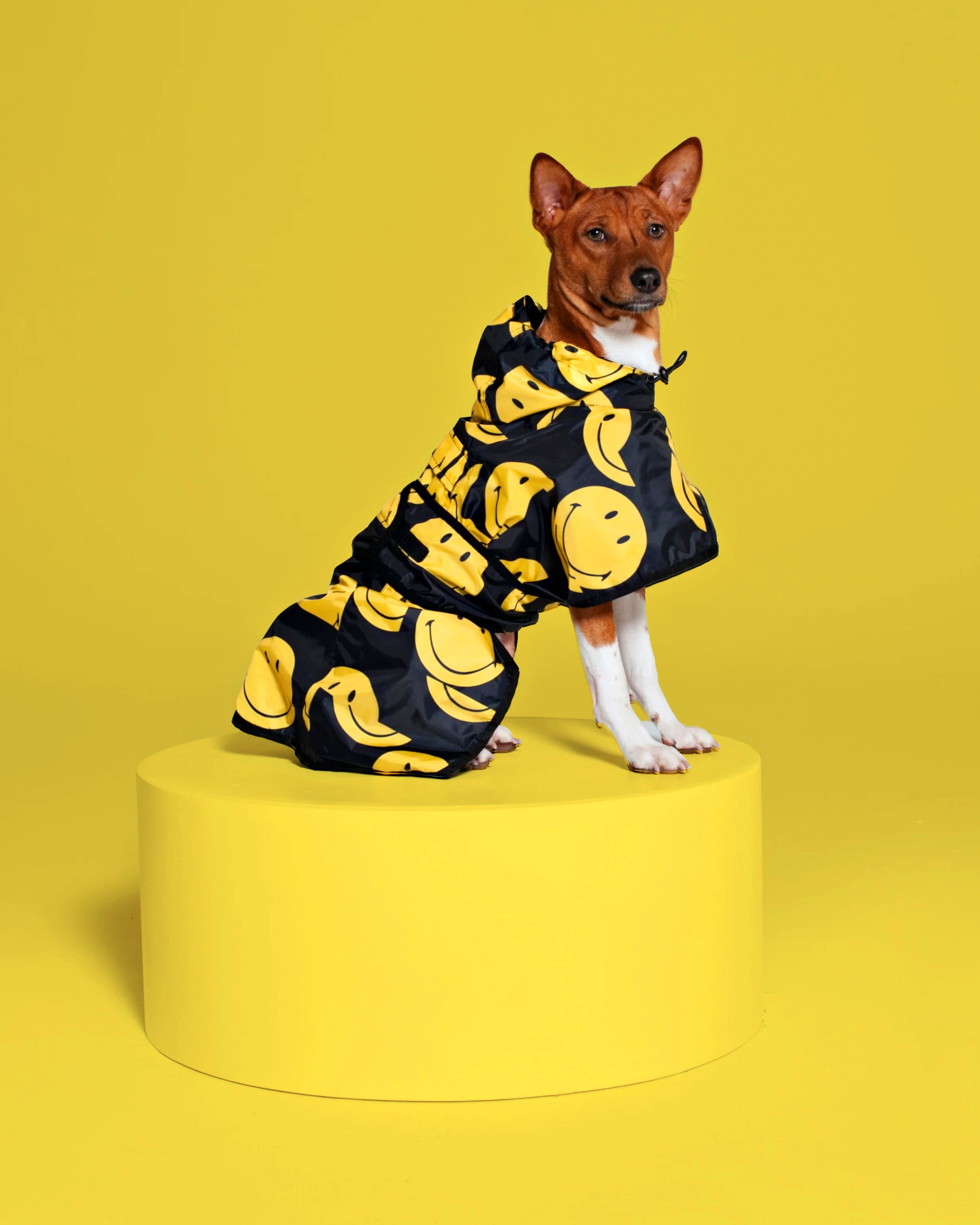 All Smiles x Smiley - Dog Poncho