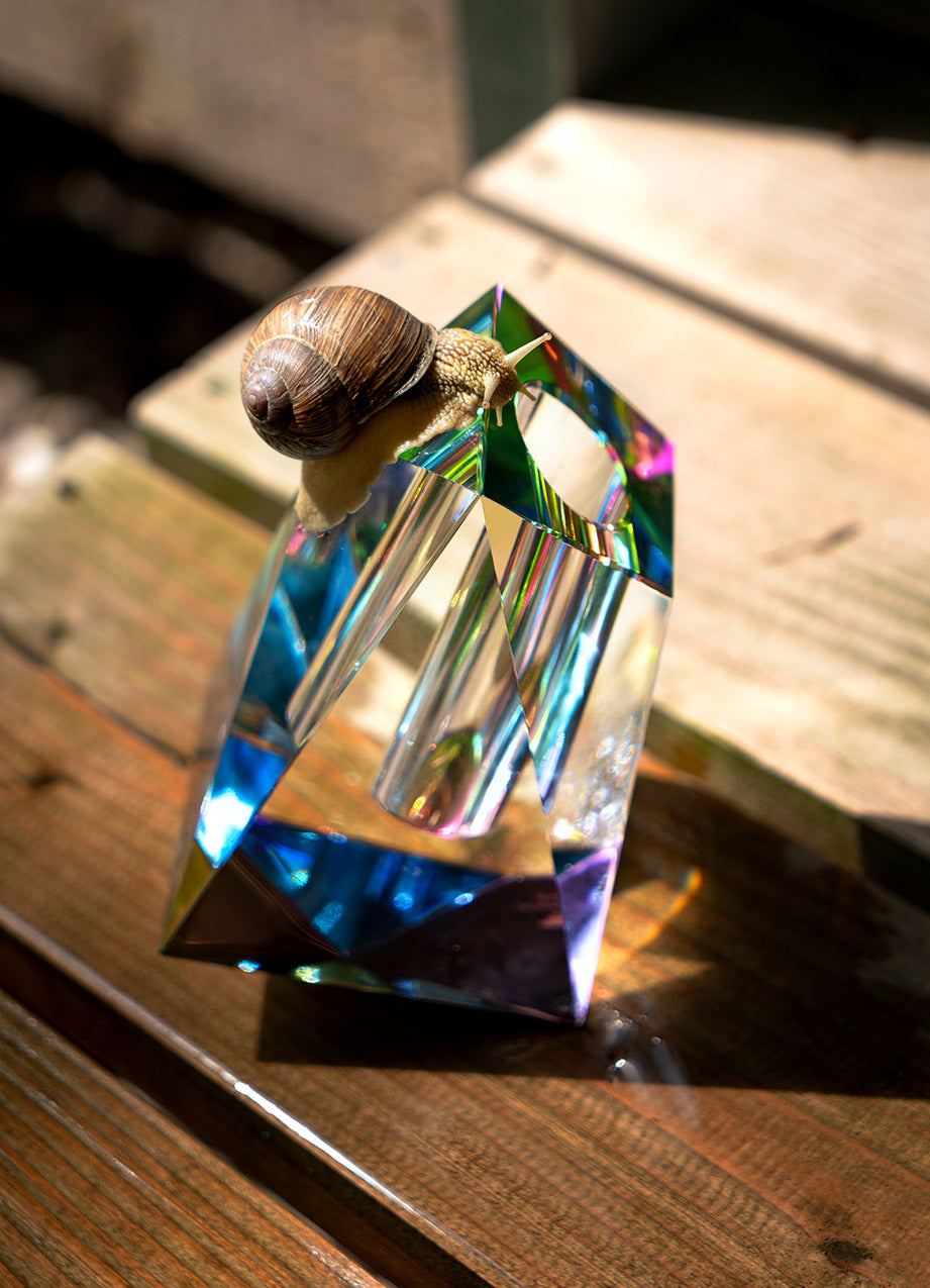 The Regenbogen family