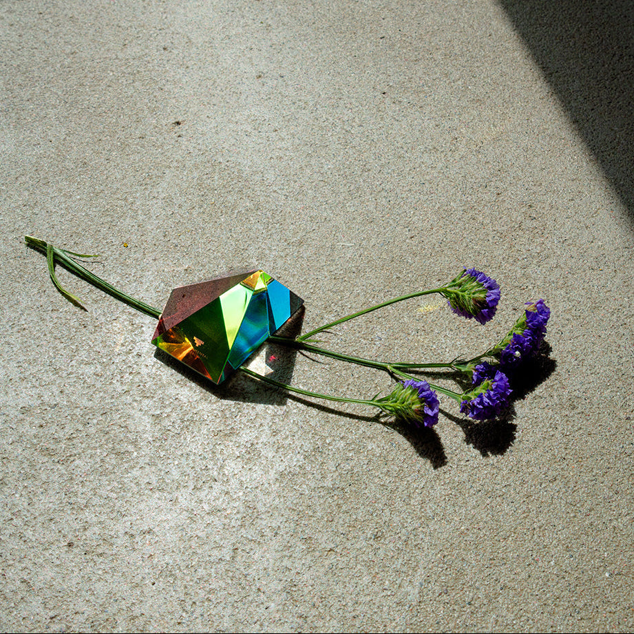 The Regenbogen family