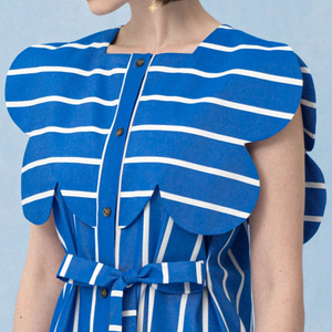 Le Papillon dress & shirt