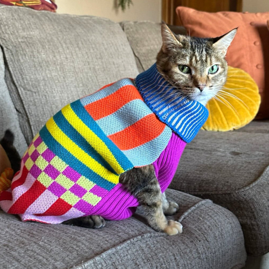 little sweaters