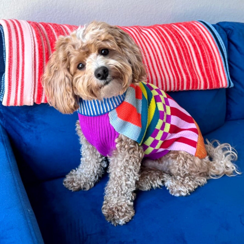 little sweaters