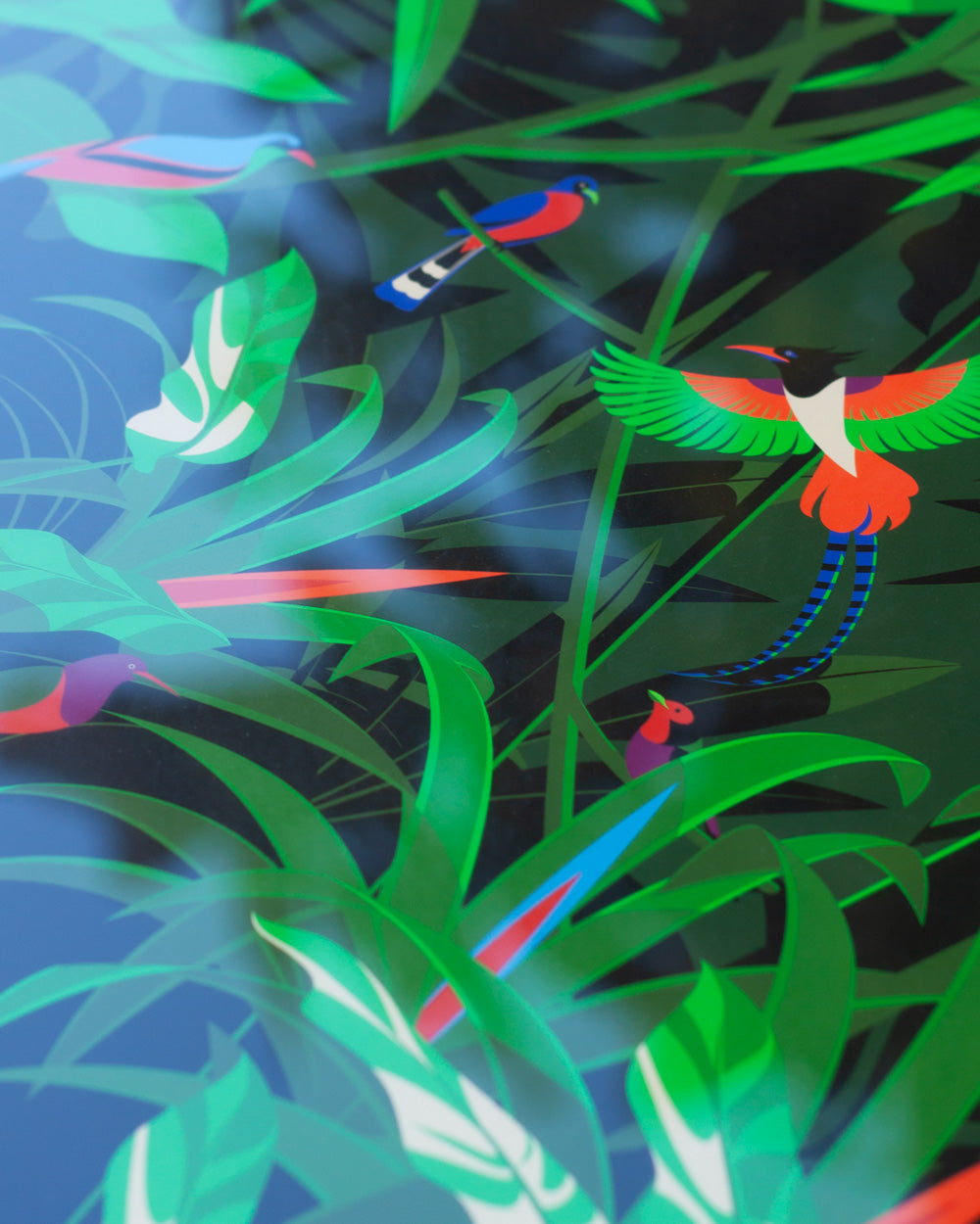 The Malika Favre Prints