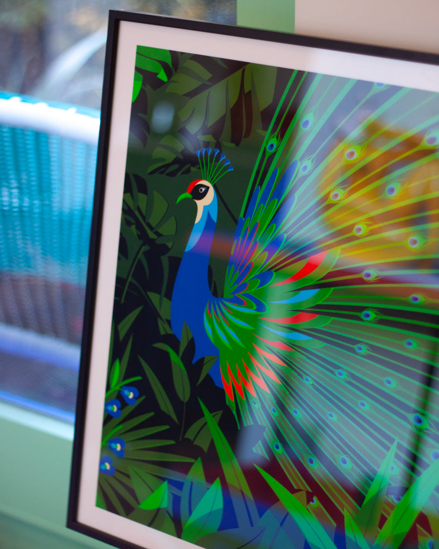 The Malika Favre Prints