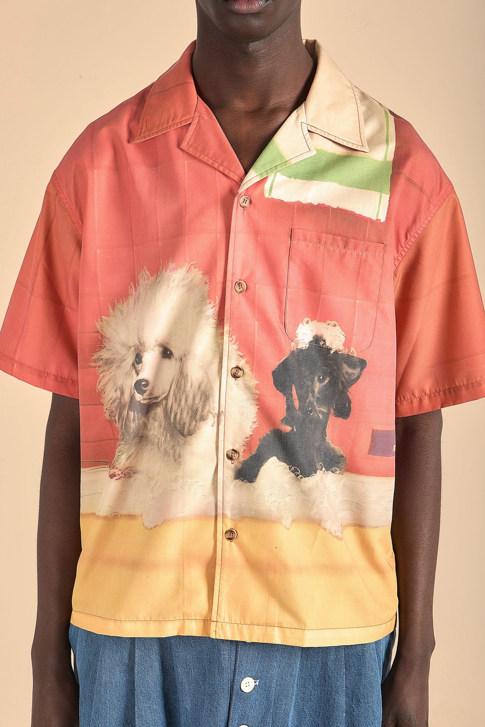 The Bath Congress Shirt