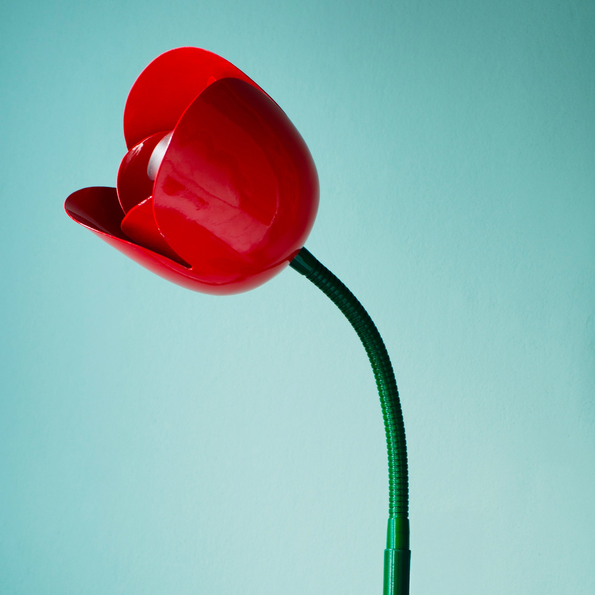 Flower Lights