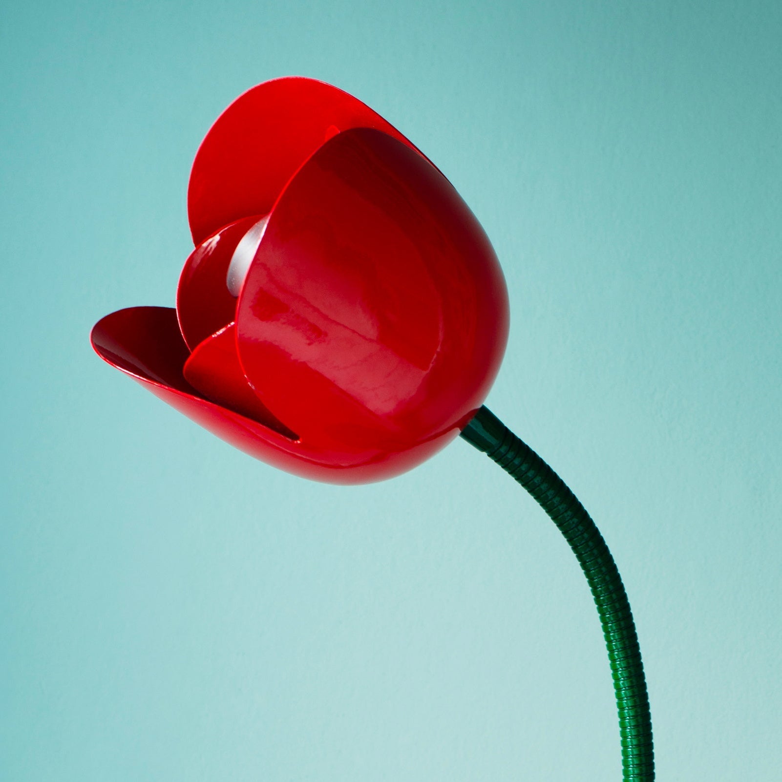 The Flower Lamps by Mike Bliss - Unique and Unity